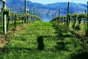 トロントからナイアガラ・ワイン・ツアー