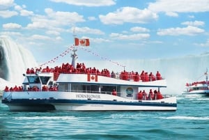 Vanuit Toronto: Hele of halve dag privé tour Niagara Falls