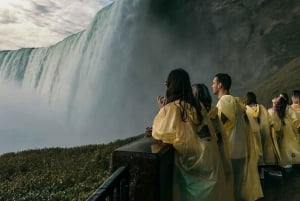 Vanuit Toronto: Hele of halve dag privé tour Niagara Falls