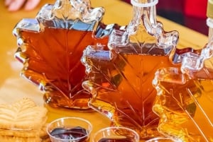 Vanuit Toronto: Hele of halve dag privé tour Niagara Falls