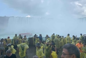 Из Торонто, небольшая группа, максимум 7 гостей — включает прогулку на лодке