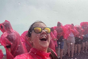 Från Toronto, små grupp, max 7 gäster – inkluderar båttur