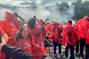 Från Toronto, små grupp, max 7 gäster – inkluderar båttur