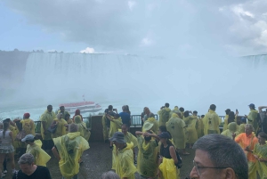 Från Toronto, små grupp, max 7 gäster – inkluderar båttur