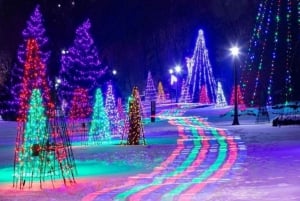 De Toronto: Festival de Luzes de Inverno nas Cataratas do Niágara