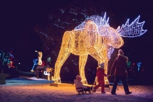 De Toronto: Festival de Luzes de Inverno nas Cataratas do Niágara
