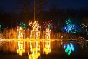 De Toronto: Festival de Luzes de Inverno nas Cataratas do Niágara