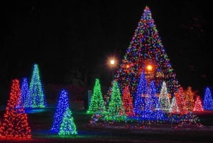 De Toronto: Festival de Luzes de Inverno nas Cataratas do Niágara