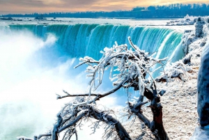 Toronto: Winter Niagara Falls Tour mit Attraktionen Paket
