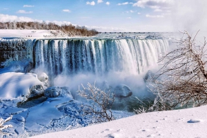 Toronto: Winter Niagara Falls Tour mit Attraktionen Paket