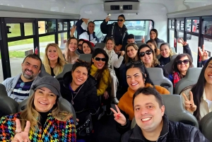Toronto: Winter Niagara Falls Tour mit Attraktionen Paket