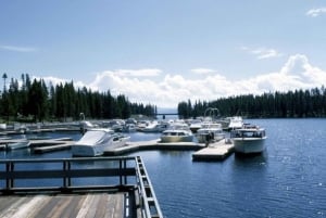 Verblijf bij Old Faithful Yellowstone&Grand Teton 5-daagse tour