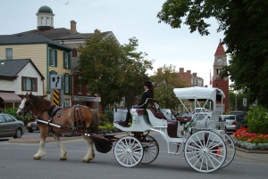 Luksusdagstur: Niagara-on-the-Lake, vin og fossefall