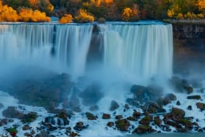 Maid of the Mist & Jetboat Ride + Lunch (Ice cream Included)