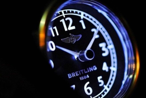 Markham: Luxury Private Car Tours