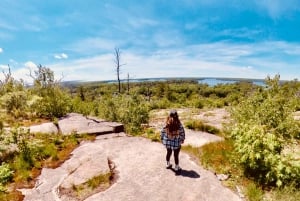 Muskoka: High Falls, Hardy Lake, & Huckleberry Rock -kierros