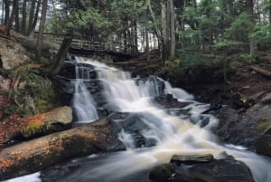 Muskoka: High Falls, Hardy Lake, & Huckleberry Rock -kierros