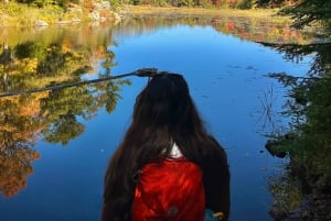 Muskoka: High Falls, Hardy Lake, & Huckleberry Rock -kierros