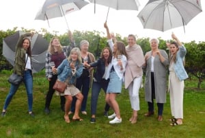 Niagara Falls, Canada: Private Craft Beer Tasting Tour