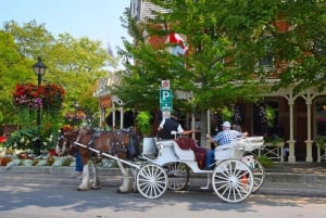 Ниагарский водопад: Канада с португалоязычным гидом