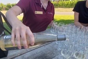 Ниагарский водопад: Канада с португалоязычным гидом