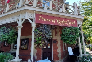 ナイアガラの滝：カナダ、ポルトガル語ガイド付き