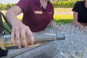 ナイアガラの滝：カナダ、ポルトガル語ガイド付き