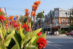 ナイアガラの滝：カナダ、ポルトガル語ガイド付き