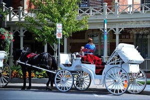 Niagara Falls Day Trip with Cruise from Toronto Metropolitan