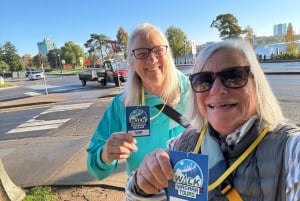 Niagara Falls: Guided Tour with Behind the Falls & Boat Ride