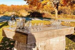 Cataratas del Niágara: Tour privado de lujo con parada en bodega