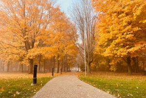 Cataratas del Niágara: Tour privado de lujo con parada en bodega