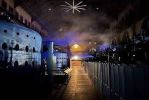 Niagara Falls: Tunnel Experience at Night & Power Station