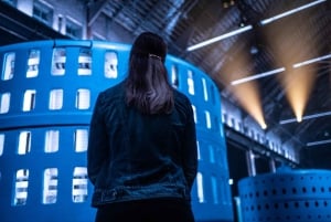 Niagara Falls: Tunnel Experience at Night & Power Station