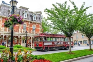 Wycieczka nad wodospad Niagara z Toronto z Niagara Skywheel