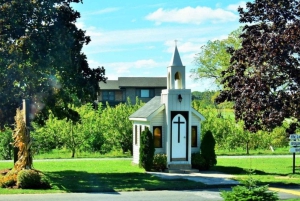 Niagara Falls Tour vanuit Toronto met Niagara Skywheel