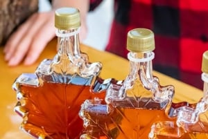 Niagaran putousten kiertoajelu Torontosta valinnaisella laivaristeilyllä