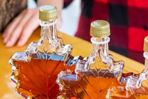 Wycieczka nad wodospad Niagara z Toronto z opcjonalnym rejsem wycieczkowym łodzią