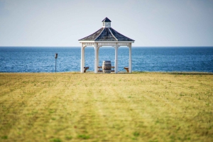 Niagaran putousten kiertoajelu ja Skip the Line -risteily & vaahteranmaistelu