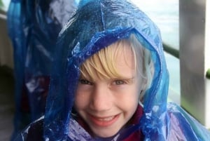 Niagara Falls: USA- og Canada-tur med bådtur + frokost