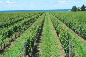 Niagara-on-the-Lake / Niagara Falls: excursão particular personalizada de um dia