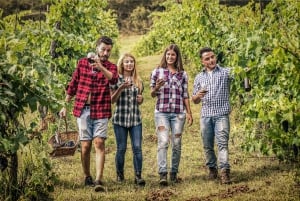 Niagara-on-the-Lake / Niagara Falls: excursão particular personalizada de um dia