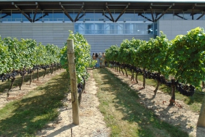 Niagara-on-the-Lake / Niagara Falls: Yksityinen mukautettu päiväretki