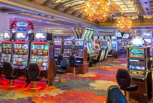 Niagara: VIP Casino Tour with Private Driver From Toronto