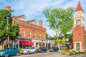 Niagara: VIP Casino Tour with Private Driver From Toronto