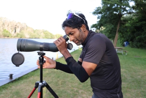 Fall Colours Boat Tour on the Toronto Islands