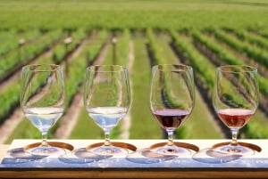 Prywatna i niestandardowa wycieczka nad wodospad Niagara dla grup każdej wielkości