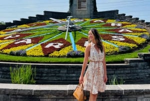 Prywatna i niestandardowa wycieczka nad wodospad Niagara dla grup każdej wielkości