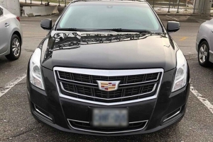 Salida Privada de las Cataratas del Niágara al Aeropuerto de Toronto YYZ