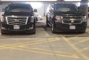 Salida Privada de las Cataratas del Niágara al Aeropuerto de Toronto YYZ